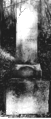 Cemetery Molly.gif