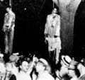 Beitler Photograph.jpg